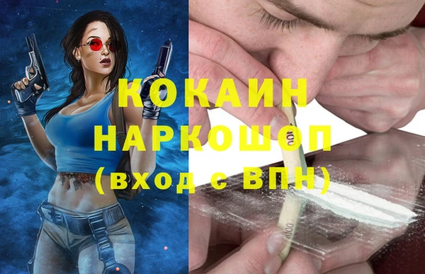 стафф Зеленокумск