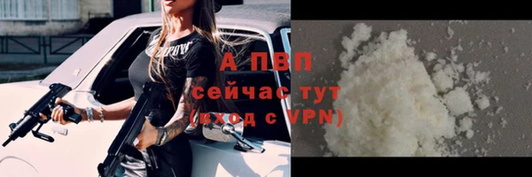 стафф Зеленокумск