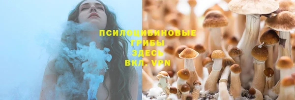 стафф Зеленокумск