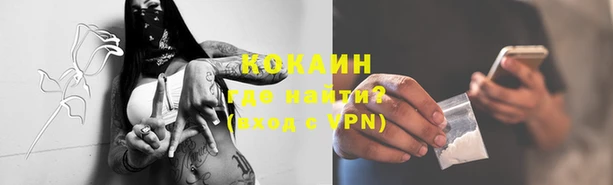 гидра Зеленодольск