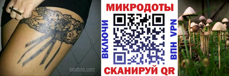 Псилоцибиновые грибы мухоморы  Купить где  Дудинка 